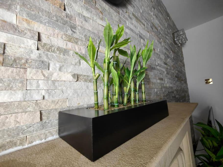 Tyburn Home, Birmingham With Free Parking Экстерьер фото